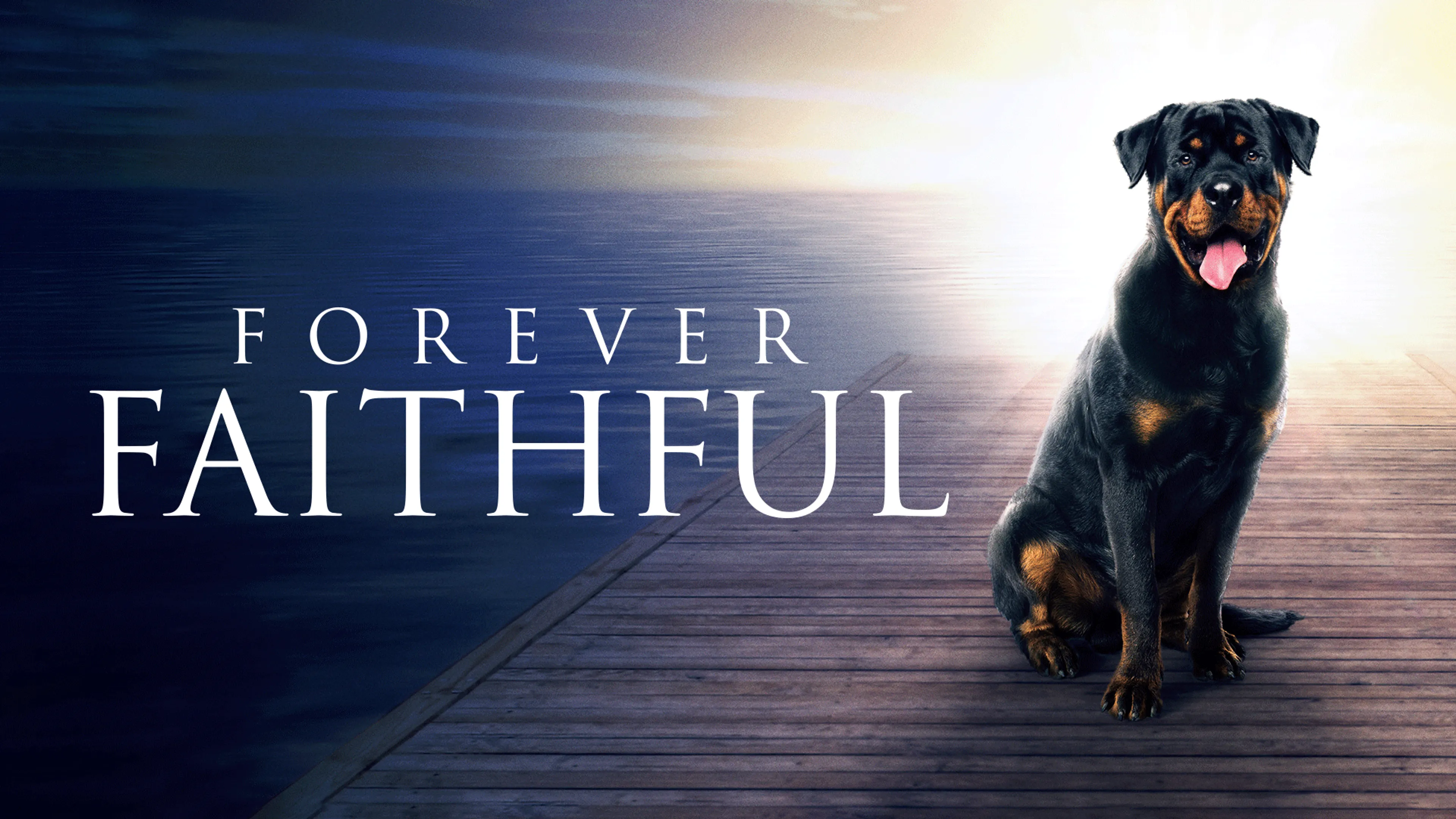 Forever Faithful poster